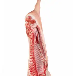 Porco Inteiro e Vivo